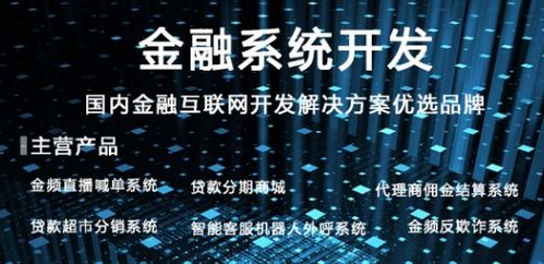 国内专注于互联网金融系统软件研发及外包服务的知名公司